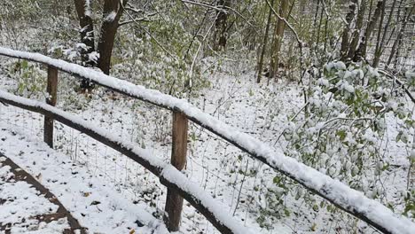 Walk-on-a-path-in-Berlin-in-wintertime-in-Park-Hasenheinde-HD-30-FPS-6-secs