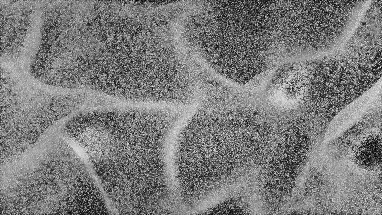 추상 질감 배경