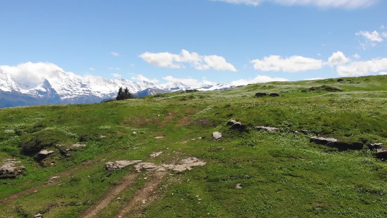Droneutsikt viser en frodig gresskledd ås med utsikt over majestetiske fjell i Sveits, mot en blå himmel, som fremhever naturlandskapets rolige skjønnhet.