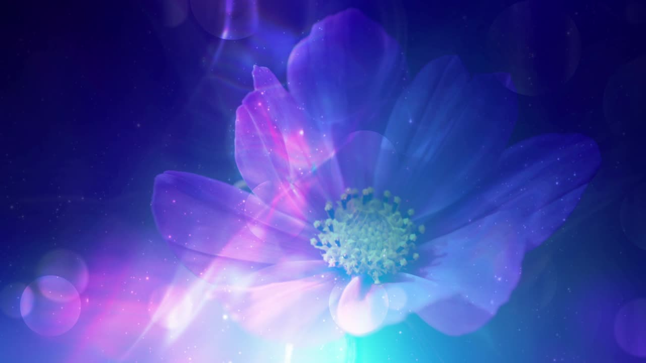 diseño floral brillante y colorido