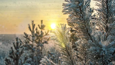 snow falling nature forest trees landscape on white sunny winter day mood. light and bright snow cold time, video loop, cinemagraph. video loop