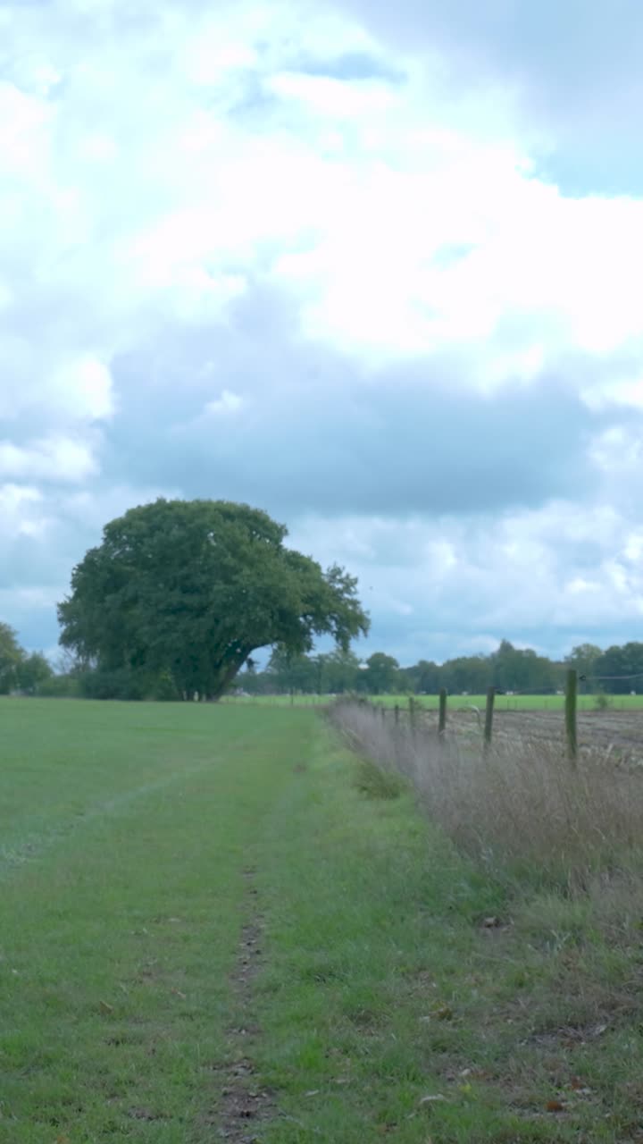 A scenic view of a field with a tree and a fence under a cloudy sky