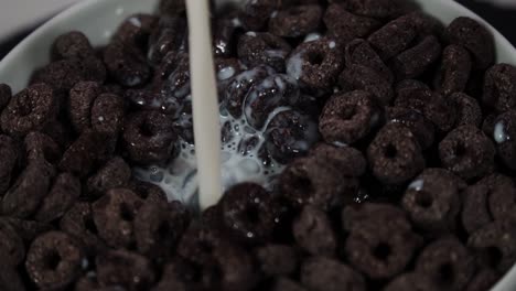 milk is poured into the bowl with chocolate cereal, drops of milk falling to the cocoa cereal breakfast, close up shot, white background