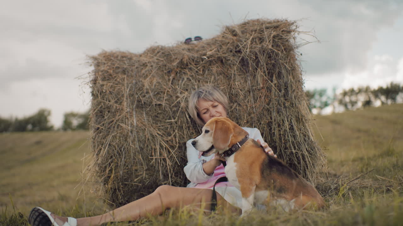 Middle-aged woman wearing sunglasses sits against hay bale, rubbing dog back as it pants happily, rolling hills, golden grass, and cloudy sky create a warm