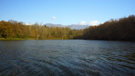 idyllic quiet lake surrounded by forest brown trees on a sunny winter day with bright blue sky and white clouds over mountains