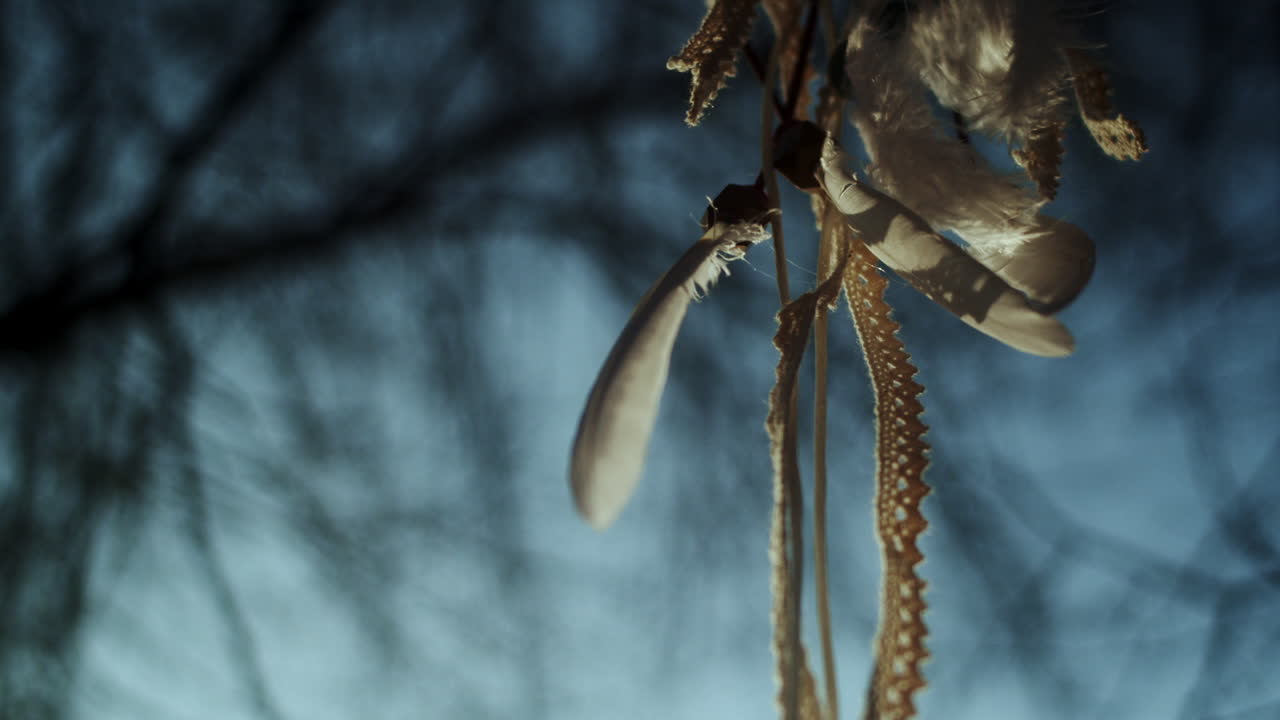 Dreamcatcher Hanging in Nature