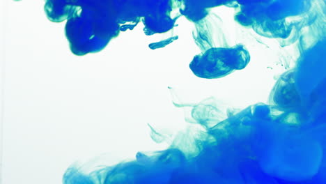 blue paint or dye dropped into water against white background to create swirling colourful smoke background 2