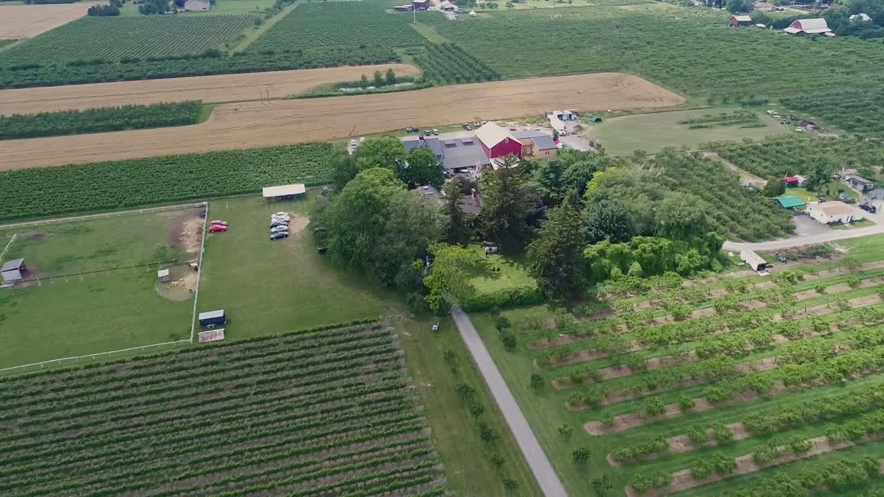 Una vista aerea della cantina Honsberger Estate a Jordan, Ontario