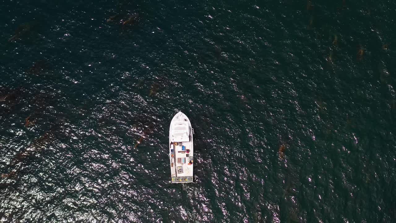 Drone che si alza sopra l'oceano a Ocean Beach, San Diego, rivelando un peschereccio e le acque costiere circostanti.
