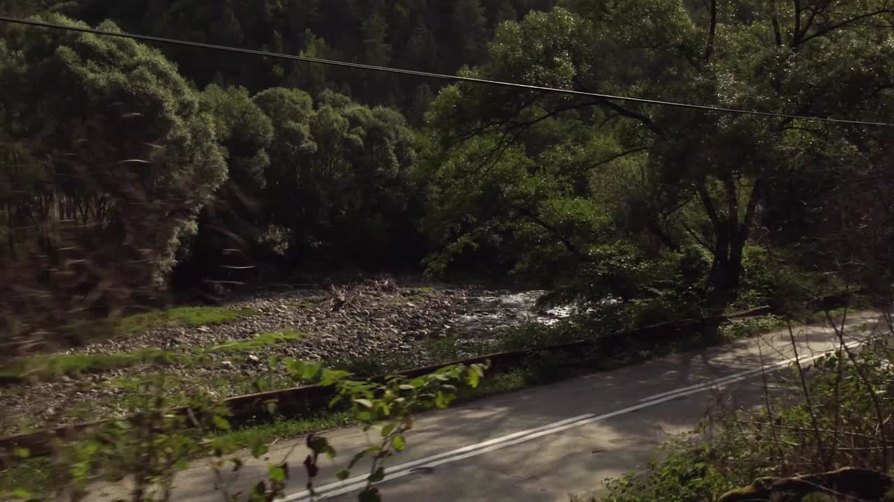 Scenic Road Trip through a Lush Forest Valley