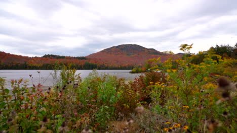 Pan-De-Derecha-A-Izquierda-Junto-A-Un-Lago-Con-Montaña