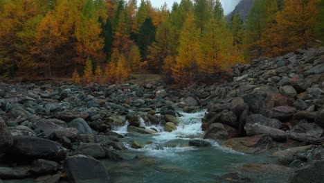 Feevispa-Fluss-Saas-Fee-Schweiz-Gletscher-Eiszeitlich-Gelb-Herbst-Lärchenwald-Schneeschmelze-Luftdrohne-Launisch-Regnerisch-Nebel-Bewölkt-Grau-Friedlich-Schweizerisch-Alpin-Alpen-Tal-Berg-Stromaufwärts-Bewegung