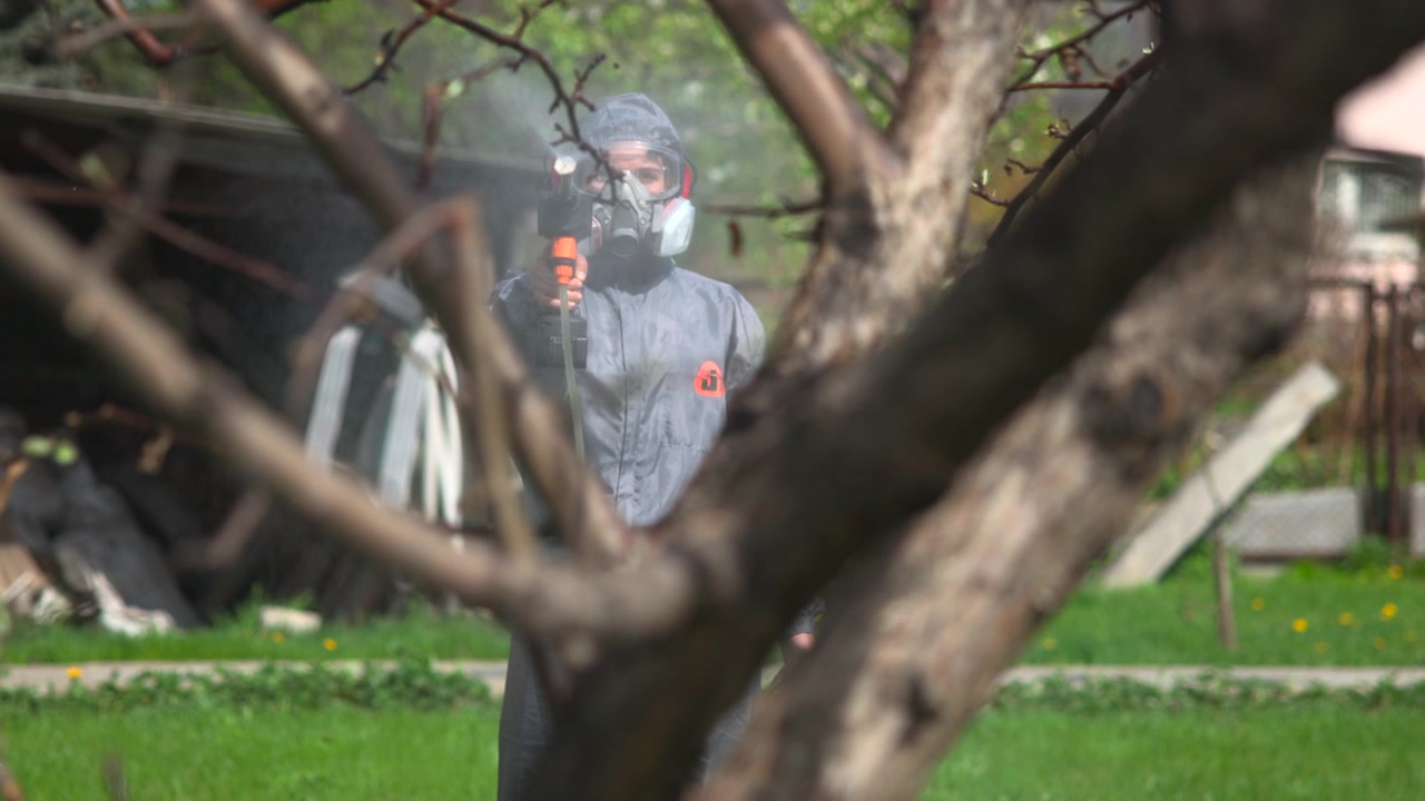 Una persona che indossa indumenti protettivi e una maschera respiratoria sta all'aperto dietro rami d'albero in un giardino residenziale verde, tenendo uno spruzzatore portatile.