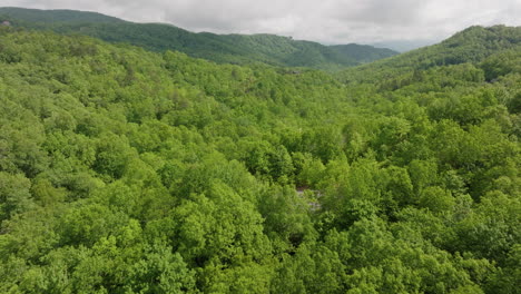 Blue-Ridge-Mountains-Drohnenaufnahmen-Stockvideo-Luftaufnahme