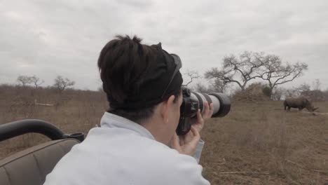 pan to female photographer on safari, camera aimed at white rhino