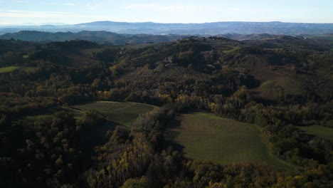 Un-Espeso-Bosque-Divide-Los-Campos-Agrícolas-Del-Hermoso-Paisaje-Toscano-En-El-Otoño.