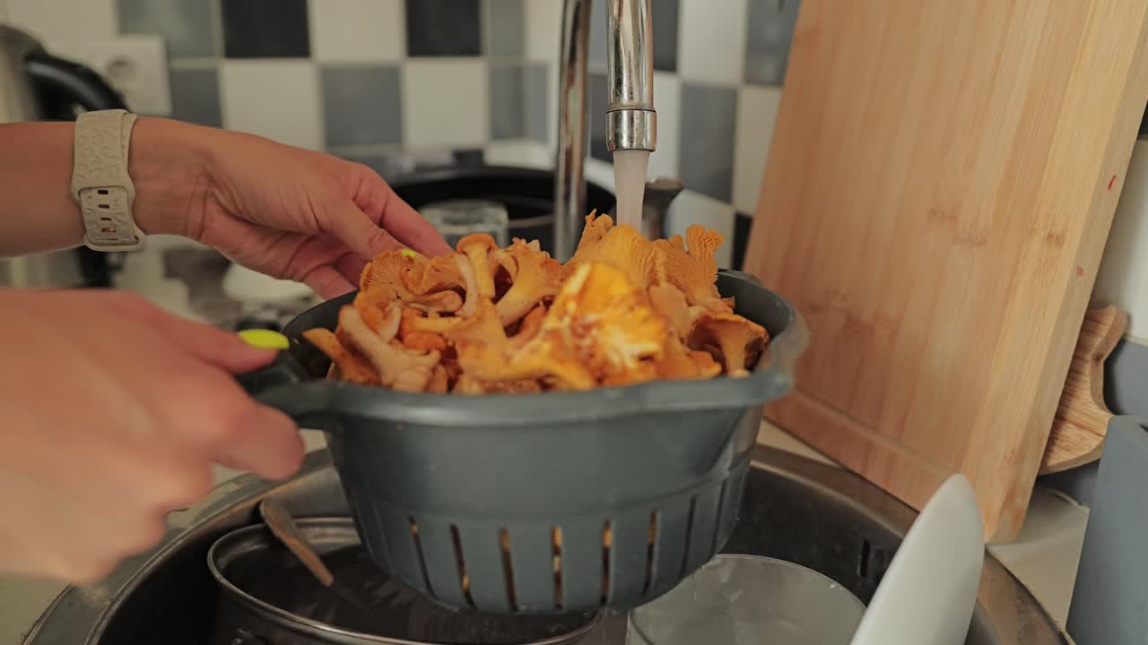 Fresh chanterelle mushrooms rinsed under running water in modern kitchen Latvia