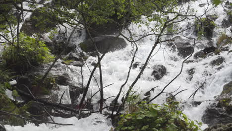 Close-up-shot-of-a-waterfall-flowing-down-the-river-around-rocks-and-trees-in-Venosc,-Alps