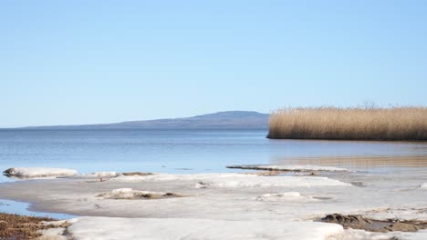 Hielo-Y-Juncos-Frente-A-Kinnekulle,-Una-Montaña-De-Cima-Plana-En-El-Condado-De-Västergötland,-Suecia,-En-La-Orilla-Oriental-Del-Lago-Vänern