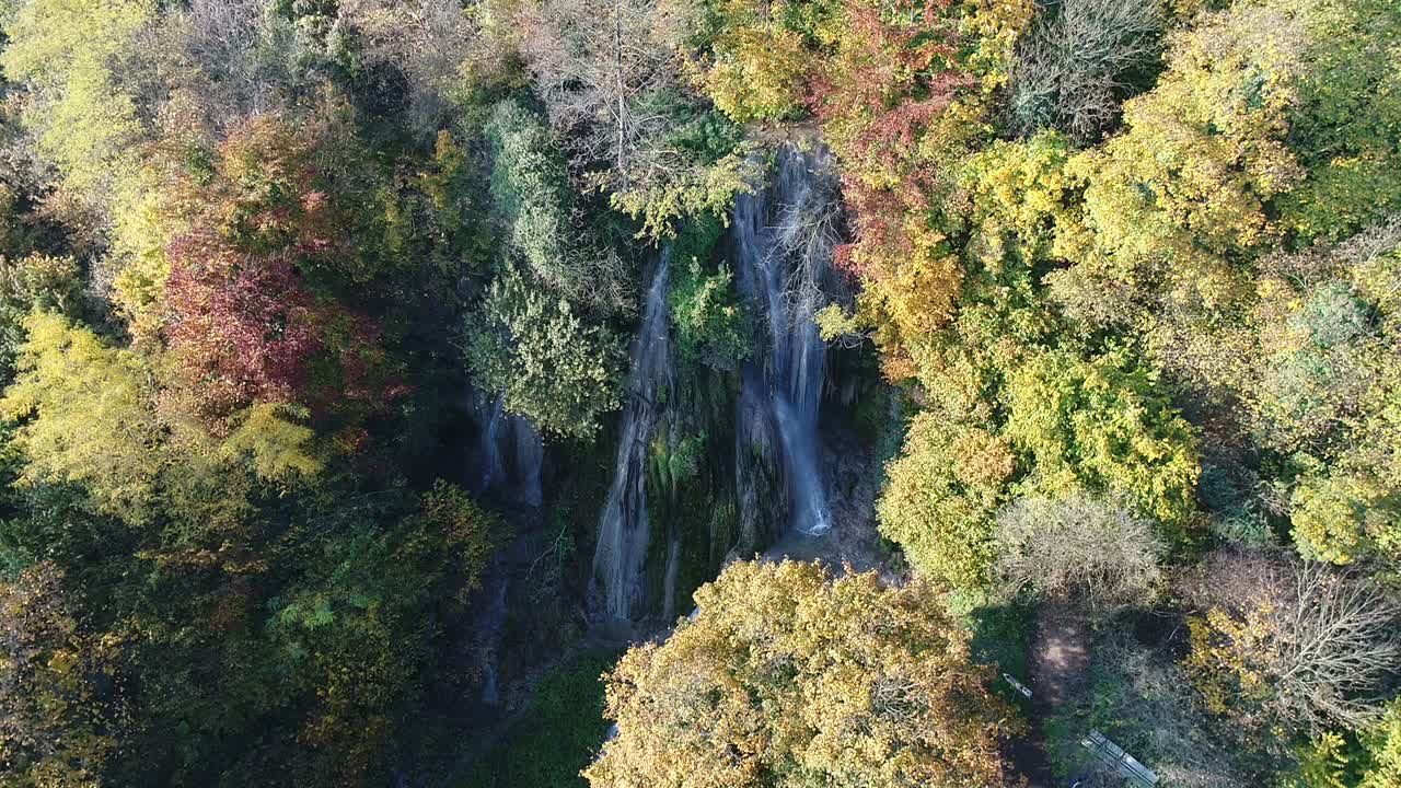 Veduta Aerea di una Cascata in una Foresta Autunnale