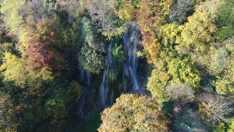 aerial view of a waterfall in an autumn forest