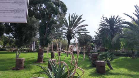 jardin olhao agadir morocco botanical garden park green space well maintenanced recreational