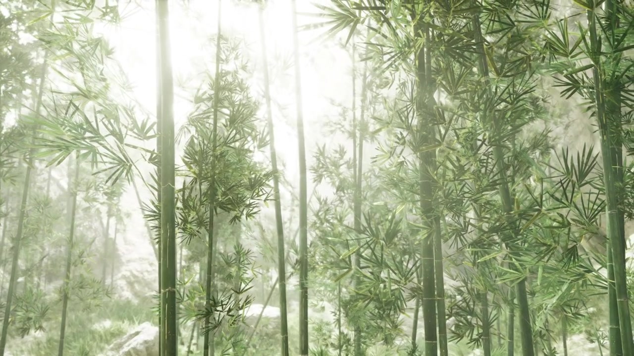 Scenario di bambù sereno con brezza delicata e illuminazione soffusa.