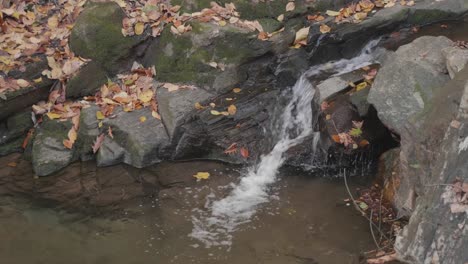 water flowing through rocks and autumn leaves in wissahickon