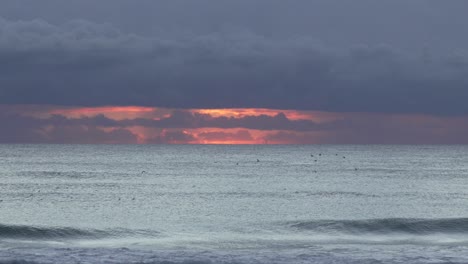 birds fly at sunrise ocean waves, relaxing calm inspiring landscape nature skyline