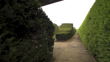 inside-green-maze-dramatic-moving-backwards-shot-with-nobody-around-scary-interesting-pattern-following-pathway-cloudy-weather-bridge-above-slow-motion