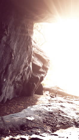 la luz del sol fluye hacia una cueva oscura.