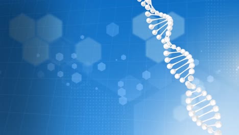 Digitale-Animation-Einer-DNA-Struktur,-Die-Sich-Vor-Chemischen-Strukturen-Auf-Blauem-Hintergrund-Dreht