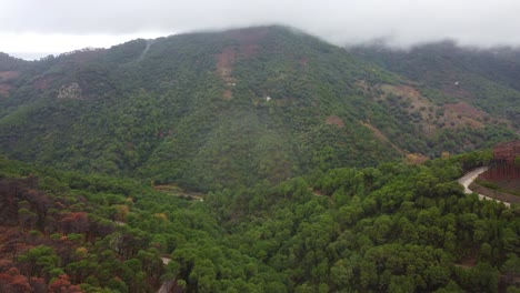 winding road in majestic valley covered with forest in spain, aerial view