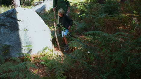 father and son hiking with wooden stick in the forest