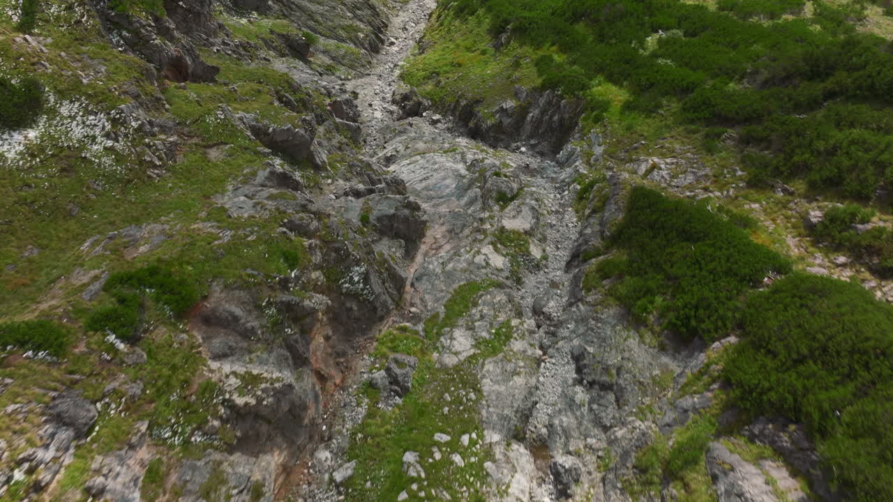 imágenes aéreas rotativas de cabras de montaña corriendo a través de un empinado valle de montaña de la región de los alpes austriacos