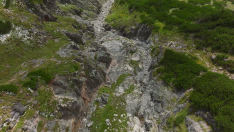 rotating aerial footage of mountain goats running through a steep austrian alps region mountain valley