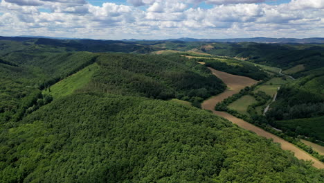 Road-trip-through-a-forest-sunny-day-in-hungary