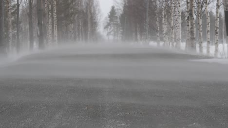 ground level wide shot of howling blizzard and drifting snow blowing across lonely forest road surrounded by birch and pine trees