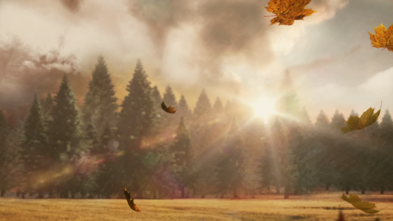 숲 속 의 높은 나무 에 맞서 떨어지는 여러 가지 가을 잎 의 복합 영상