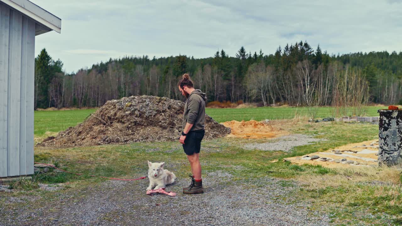 Pet Owner Giving A Meat Bone To His Alaskan Malamute Dog. Static Shot