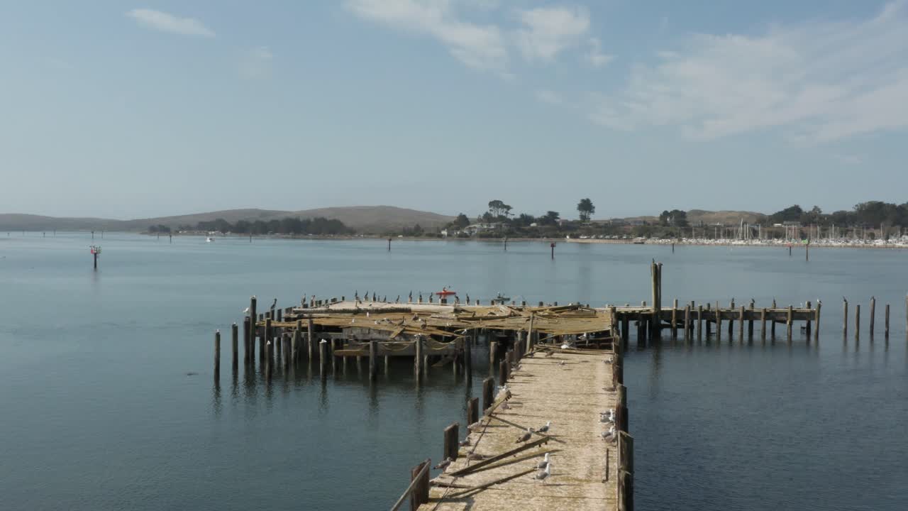 북부 캘리포니아 보데가 만에서 새들이 날아가는 오래된 버려진 도크의 항공 비디오