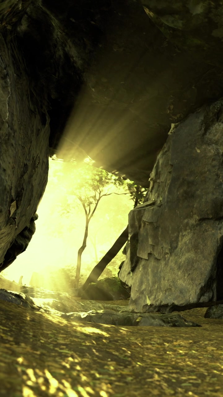 Luce che filtra tra le rocce in una piccola radura in un'area boschiva