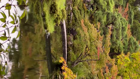 Hermosos-Colores-De-Otoño-En-Nara,-Japón.