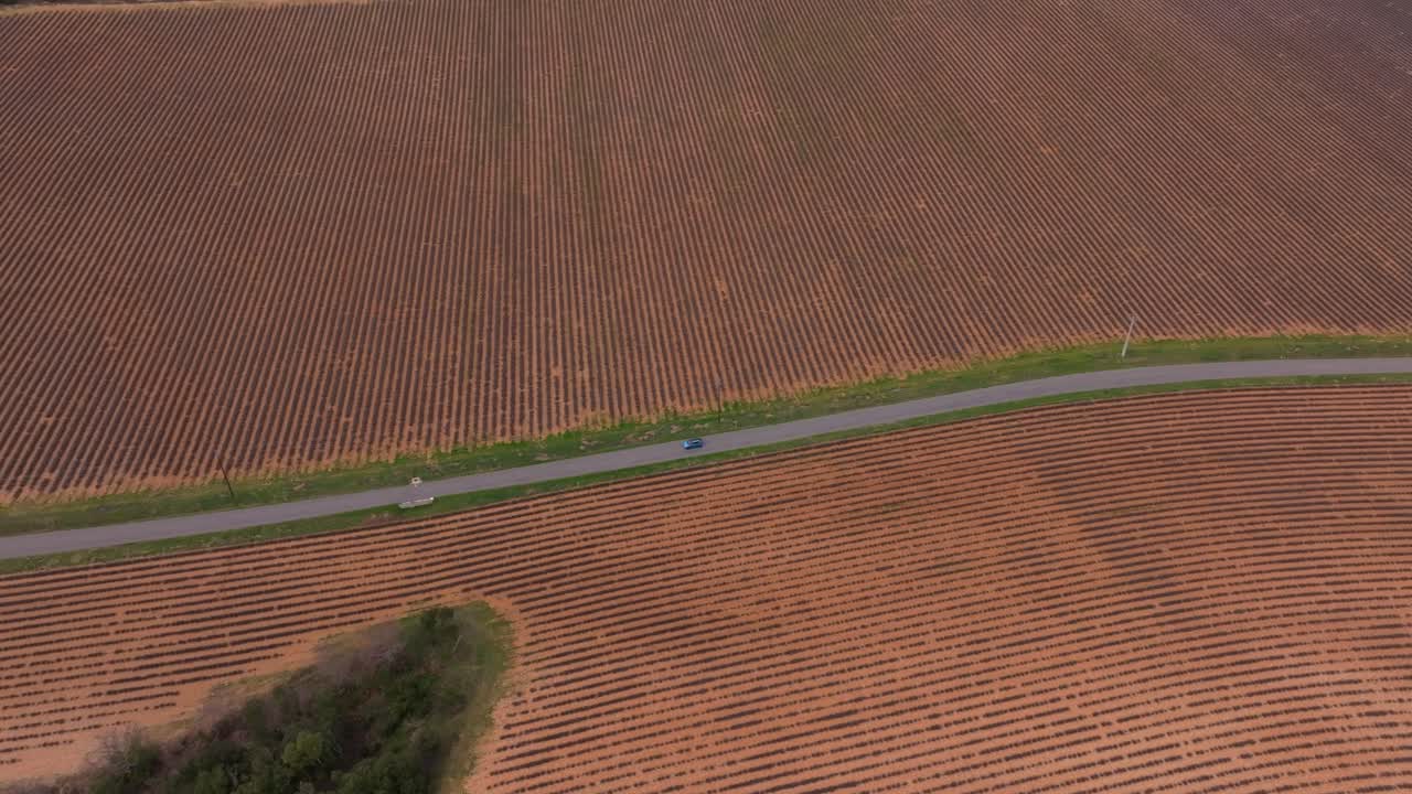 Vista aerea di un paesaggio fiorito con file di lavanda nella Provenza meridionale