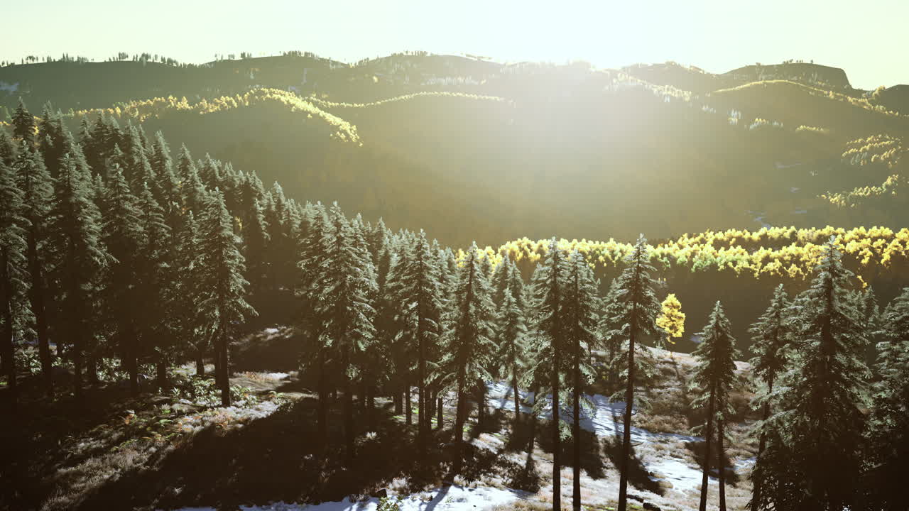 가을 스칸디나비아 숲과 풍경과 활기찬 가을 색상