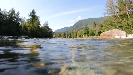 starting with a green forest and mountain then submerging into the skykomish river to reveal the underwater world