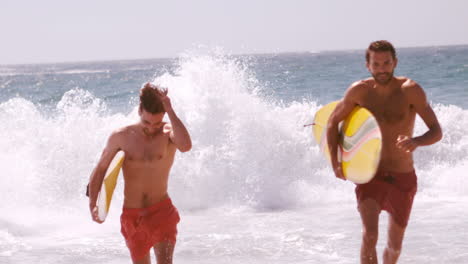 dos amigos están regresando a la playa.