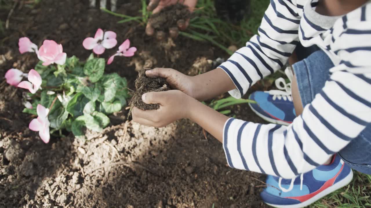 de las manos de un niño afroamericano plantando flores en un jardín soleado, cámara lenta