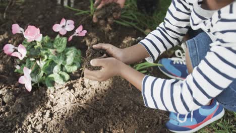 hands of african american boy planting flowers in sunny garden, slow motion