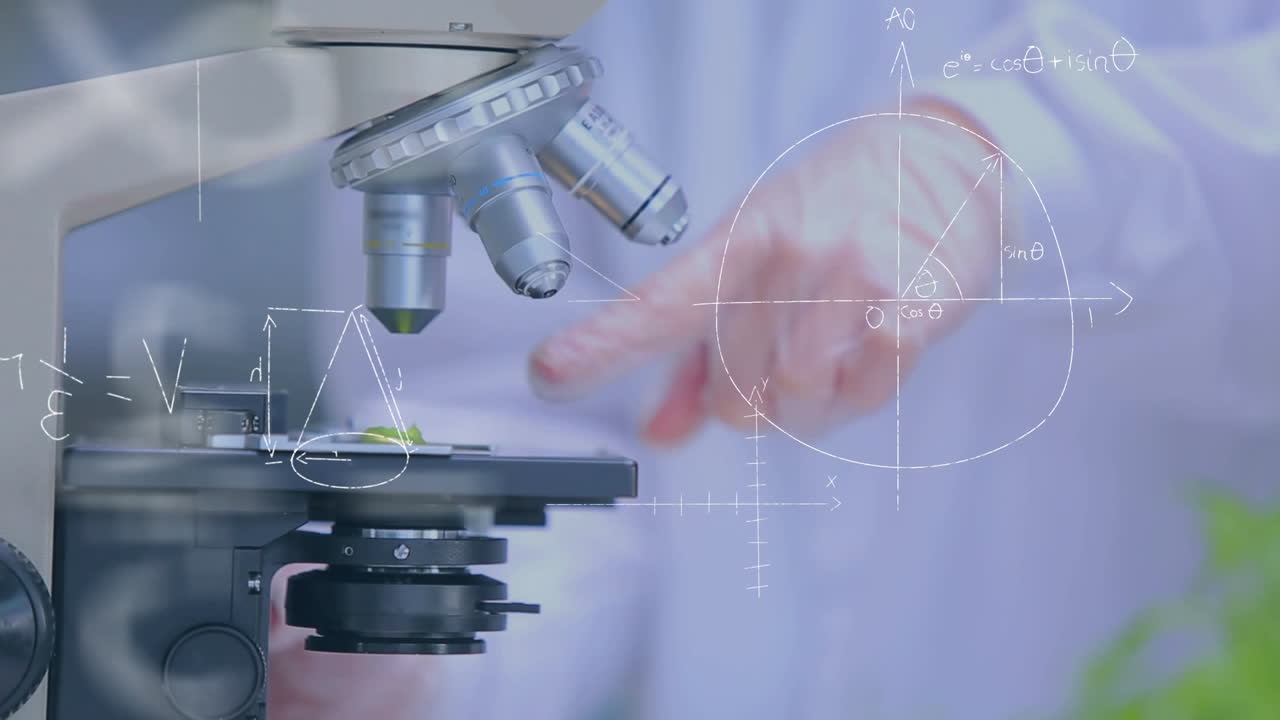 현미경 하 에서 연구 하는 것